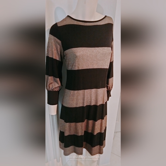 NWT Women's Blue Sage Shimmer gold/Black Stripe Stretchy Thin Mat'l - Picture 2 of 9